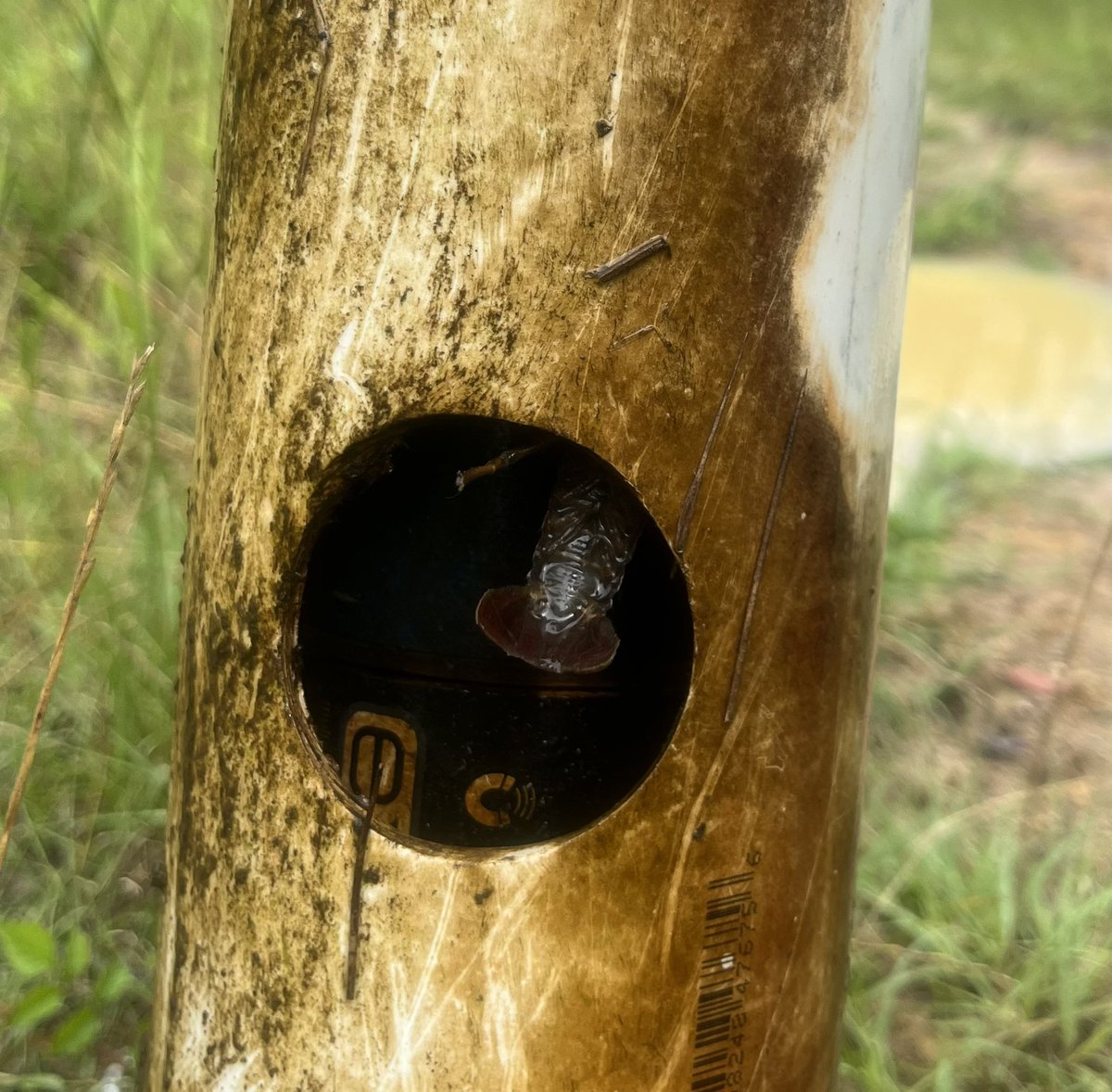 Caitlin Sweeney tweet media