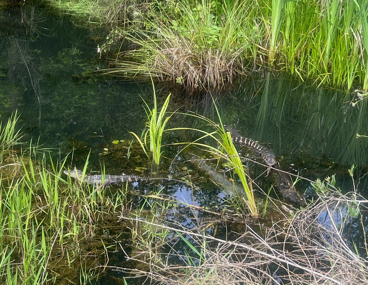 Caitlin Sweeney tweet media