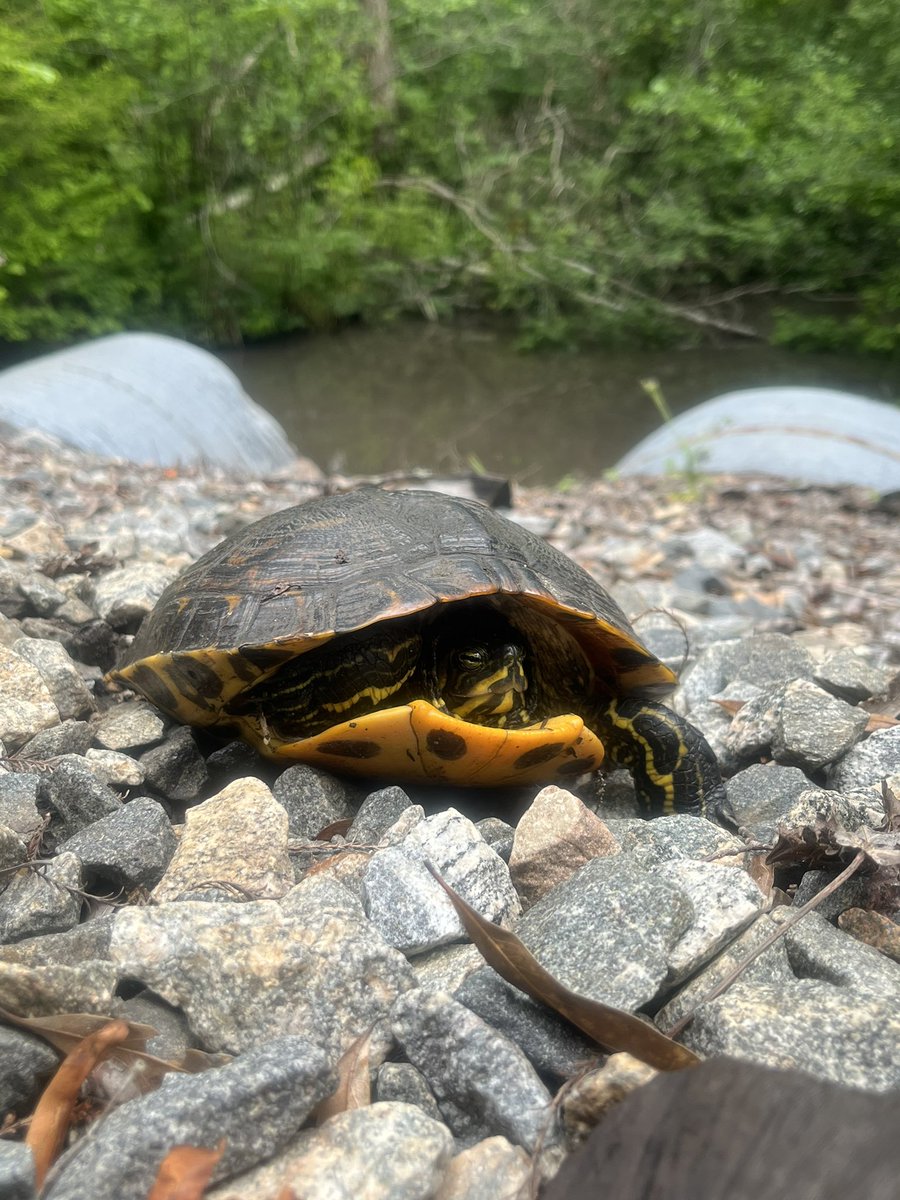 Caitlin Sweeney tweet media