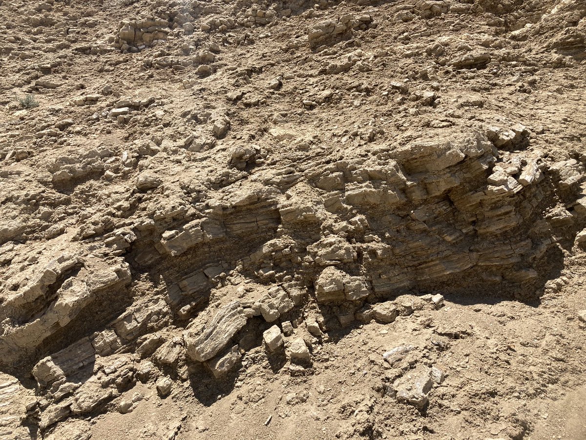 JMSKraus's tweet photo. @JMSKraus NASA SOFIA flight week - first stop…San Andreas Fault!🤗 @NISDJefferson @CabicoMonica @NISDMSScience https://t.co/8SQzjmPVLq