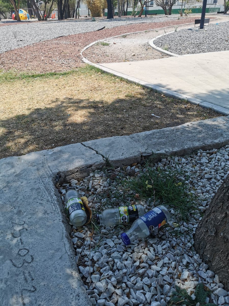 David_GM's tweet photo. @RobertSosaP @MpioCorregidora no caerían mal unos botes para basura en el parque de Puerta de Piedra. https://t.co/RyMZTi9CCt