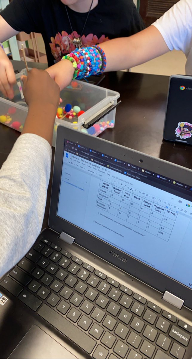 Bird Beak Lab !!! Room 44 was full of energy today as they simulated survival of the fittest! Many students even learned how to use chop sticks for the first time! 👏🏼👏🏼 #adaptations