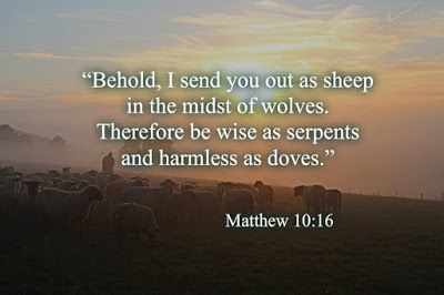 AngeliqueV277's tweet photo. Matthew 10:16 https://t.co/VxIjdwUzvn