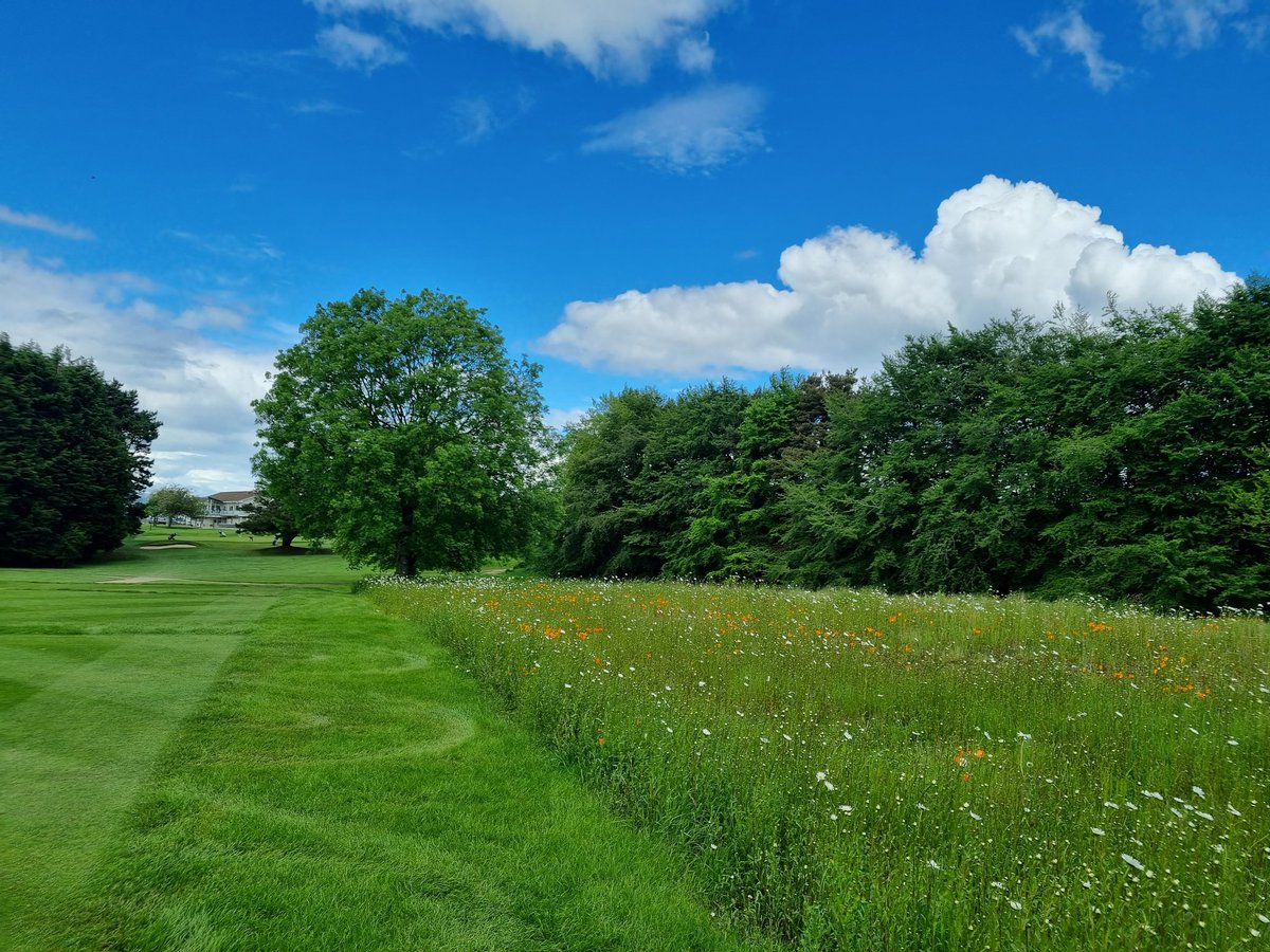 Great day at <a href="/dundalkgolfclub/">Dundalk Golf Club</a> Pro-Am for <a href="/DundrumGAC/">Dún Droma CLG</a> 

Greens, approaches, bunkering and wildflower meadows were all class. 🤌

Forgot how good this place was

<a href="/PGA_Ireland/">PGA in Ireland</a> 
<a href="/ThePGA/">The PGA</a>