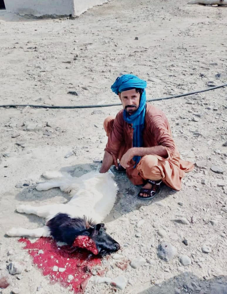 He was abducted in Kisak 2 month ago.He is a farmer and belong to a poor family. No one know his whereabouts.Pls rise your voice for him. #ReleasePasondBaloch.     <a href="/ImaanZHazir/">Imaan Zainab Mazari-Hazir</a> <a href="/KiyyaBaloch/">Kiyya Baloch</a> <a href="/PirdanBaluch/">PIRDAN BALUCH</a> <a href="/Guldost_Bal0ch/">Gulzar Dost Baloch</a>