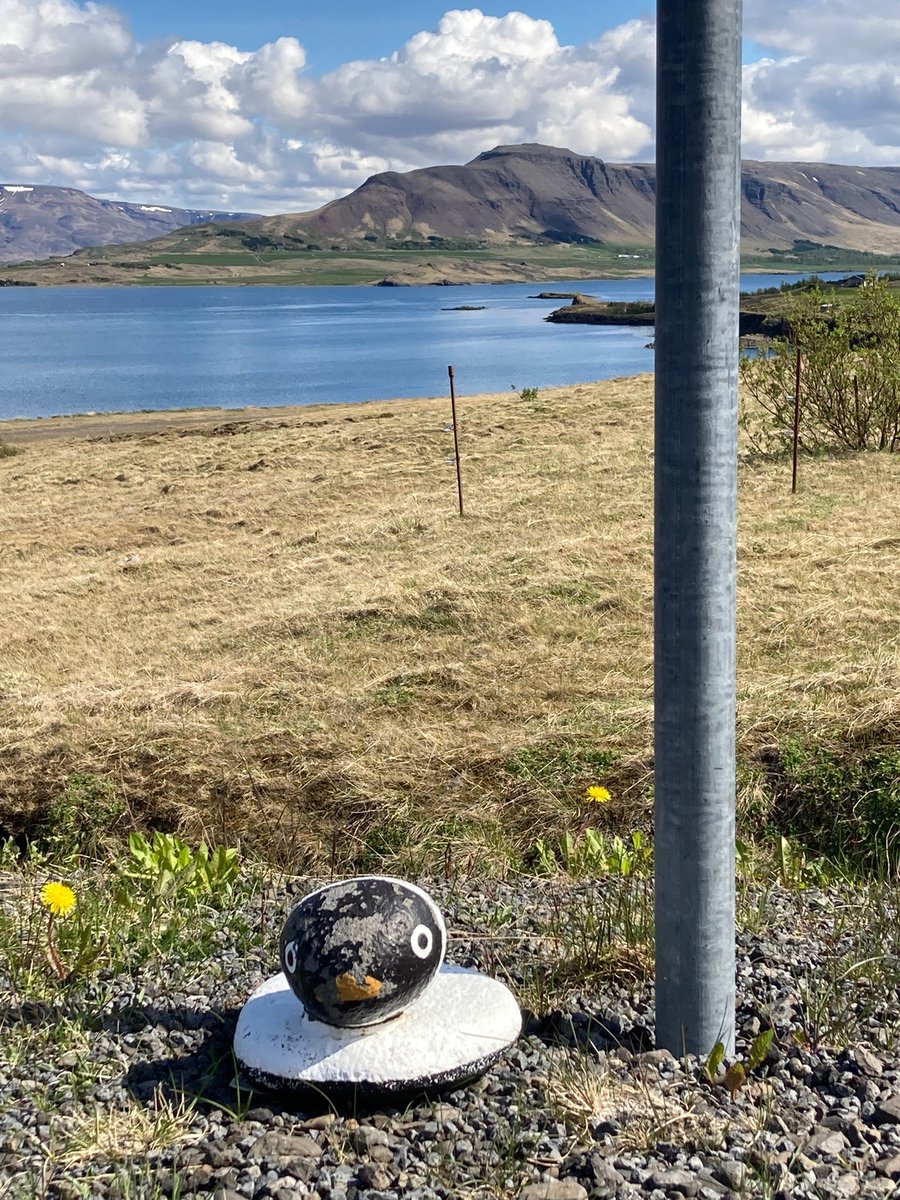 EESWindsor's tweet photo. Starting the Iceland Global Perspectives #DestinationScience course today! Everyone arrived safely and we headed to the Westfjords! https://t.co/45GSqq288D