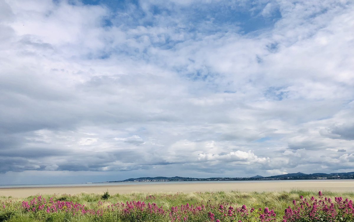 OOFlanagan's tweet photo. Beautiful afternoon in Dublin #rollonsummertime https://t.co/efWpDt4Pwi