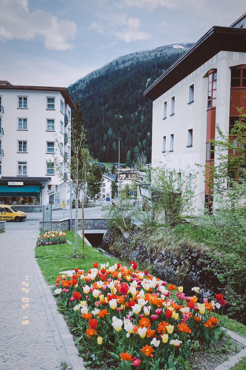 callumpolak's tweet photo. Had a great time working in Davos last week. Such an incredible place to be 🇨🇭 https://t.co/DZk1mGAucc