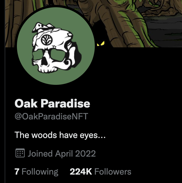 Turnt Up Dylan (DKS) 💀👑 tweet media