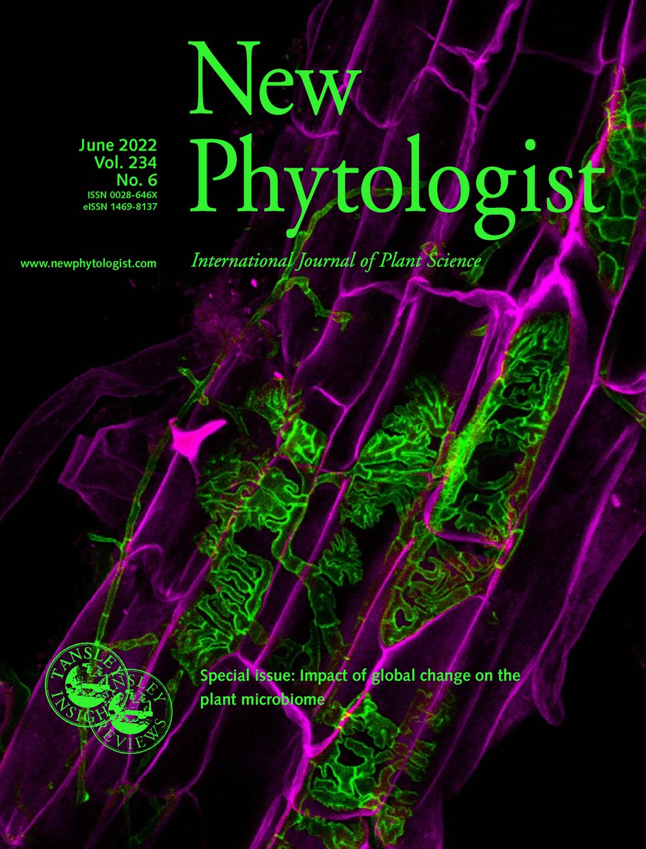 NewPhyt's tweet photo. New issue #NPCover shows poplar root colonized by endophytic and EM fungi (fungal hyphae are stained in green, root cells are false coloured in magenta). Photo: Félix Fracchia
Check out the Special Issue: Impact of global change on the plant microbiome 👉https://t.co/xzjIjopOU9 https://t.co/pGuE77omis