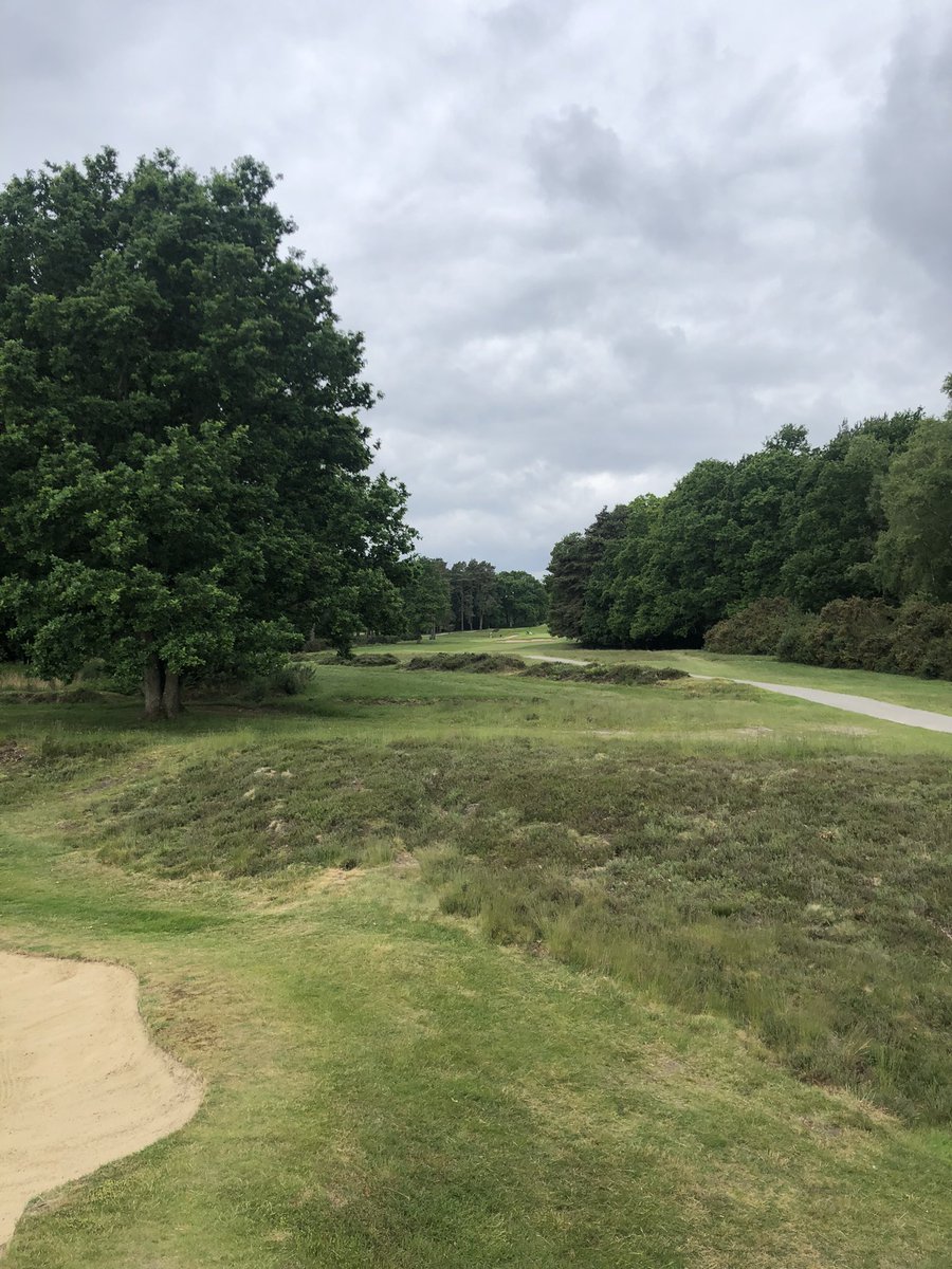 Fantastic day at Sunningdale with My Assistant which is always a treat. Played both New and Old and both are in great condition👍🏌️‍♂️