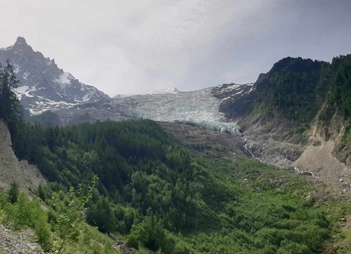 subfossilguy's tweet photo. Finally managed to recover this log located 2 meters below the crest at #Bossons glacier. Though extensive bark patches are present, will be challenging to date it (only ~40 rings). Surprise, it also shows signs of previous cutting... 😱🫢❓
#secondcutter #Chamonix https://t.co/gBfF1fELCO