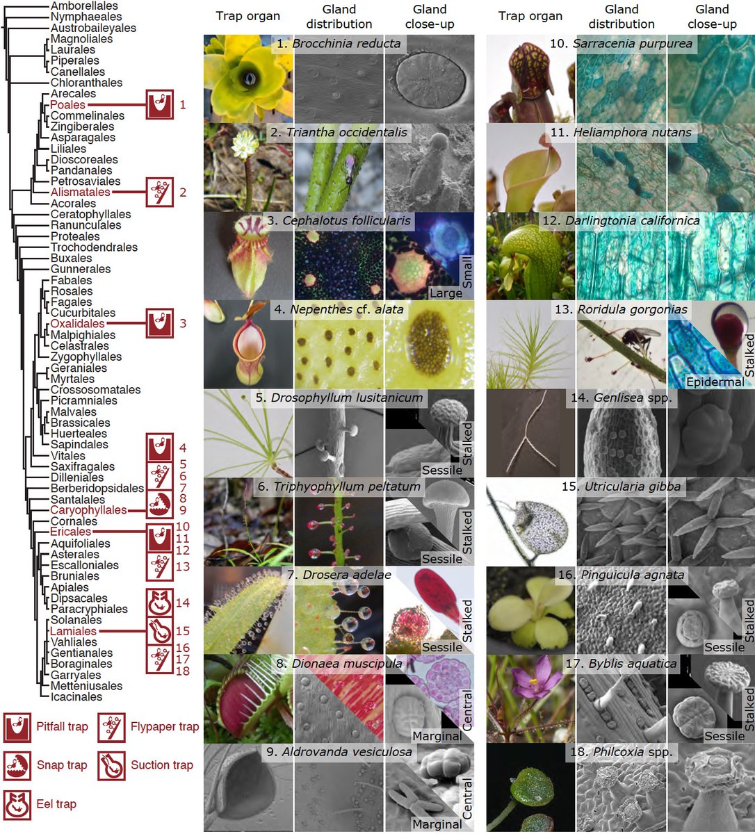 Kenji Fukushima (福島 健児) tweet media