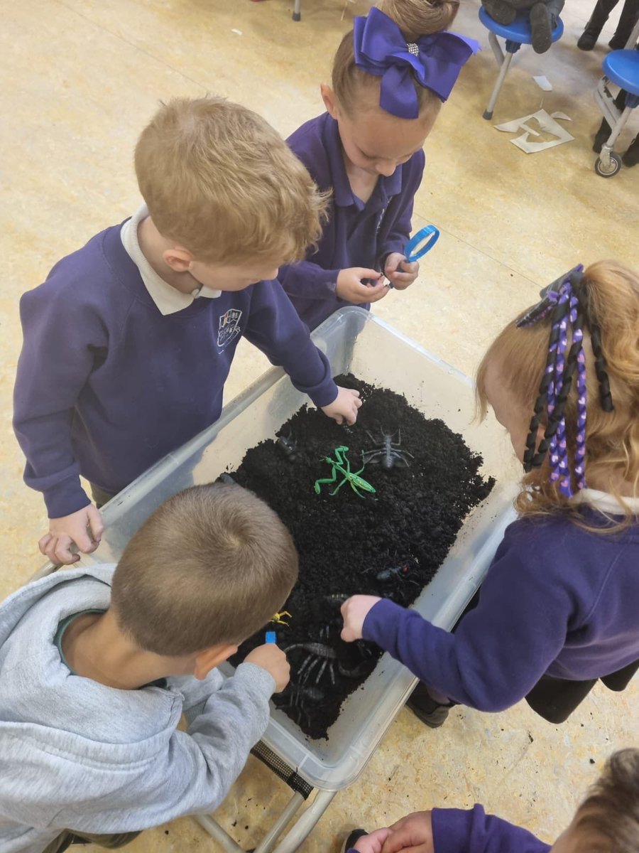 Shortlees Primary tweet media