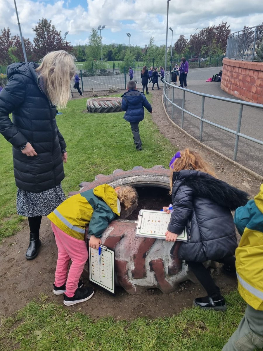 Shortlees Primary tweet media