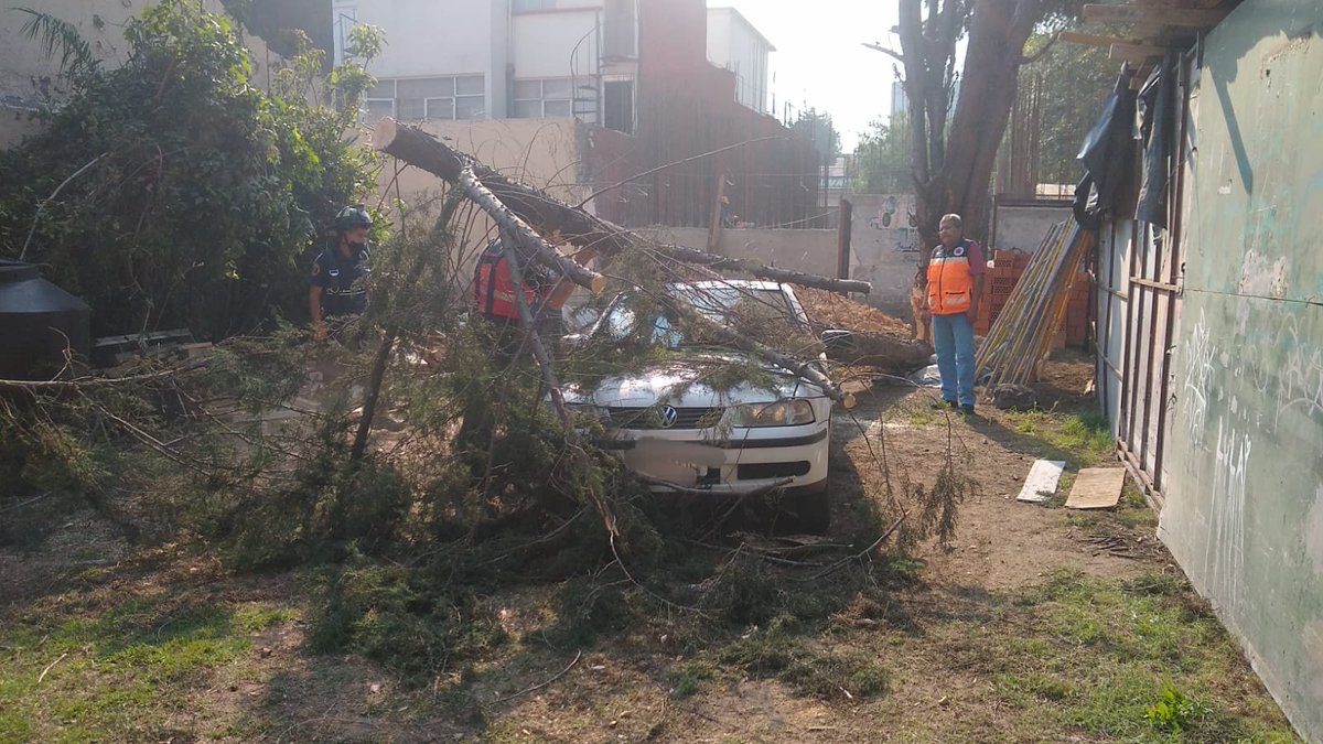 mxqnoticias's tweet photo. #AMInforma || #CDMX: al interior de un predio en Eje 5 Sur y Palenque, Col. Narvarte de la alcaldía #BenitoJuárez se registró la caída de un árbol de aprox. 20 metros de alto, causando daños a un vehículo. No se reportan lesionados.
📸: @SGIRPC_CDMX
#AgenciaMxNoticias https://t.co/gZlgVpUm37