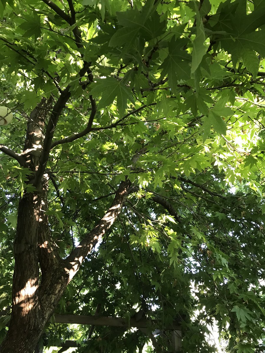 Huzur bence doğada🦋🦋🦋🦋