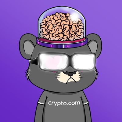 cryptorockstar tweet media