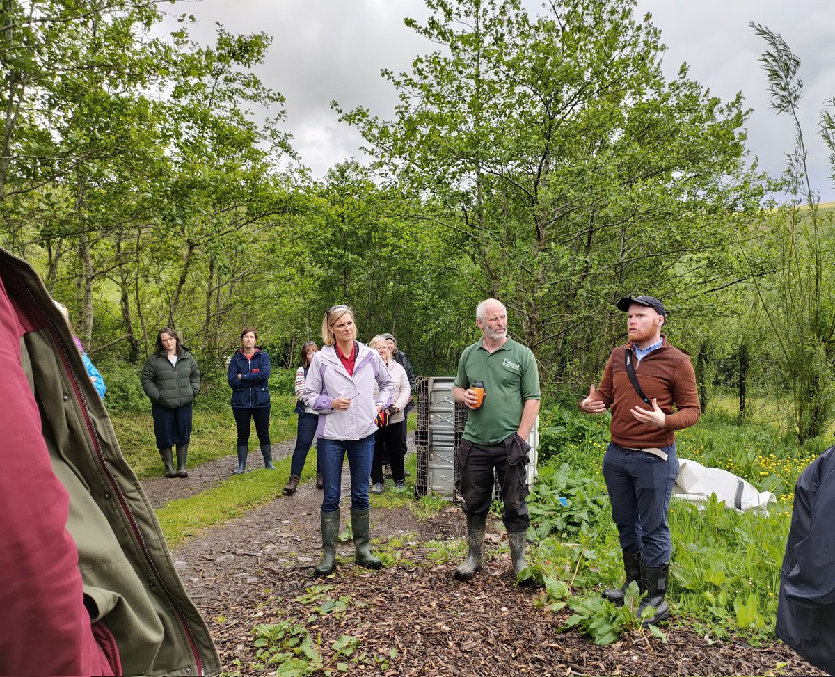 Llŷn Iveragh Ecomuseums tweet media