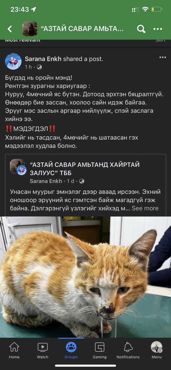 <a href="/Shuudertsetseg4/">Shuudertsetseg</a>