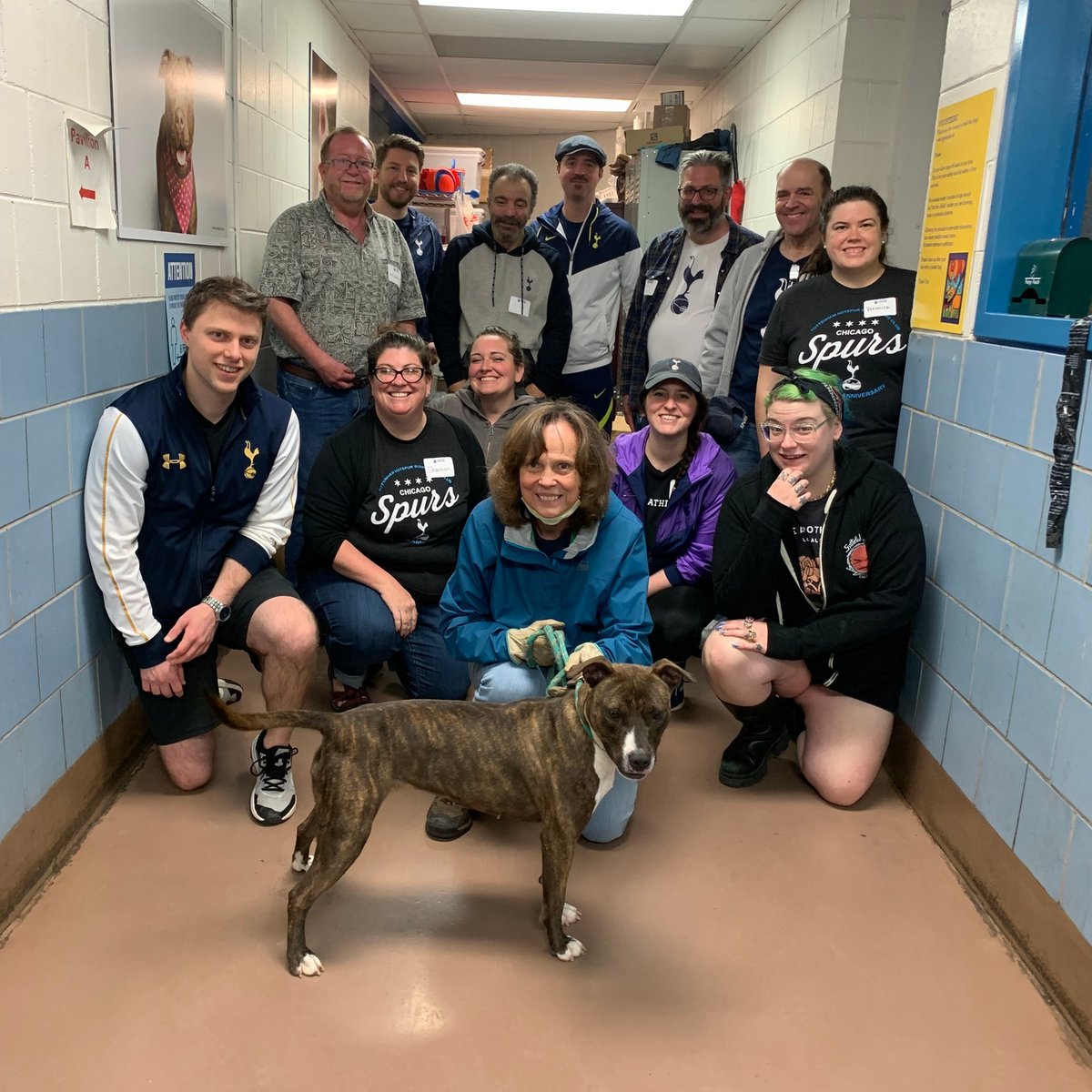 Safe Humane Chicago tweet media