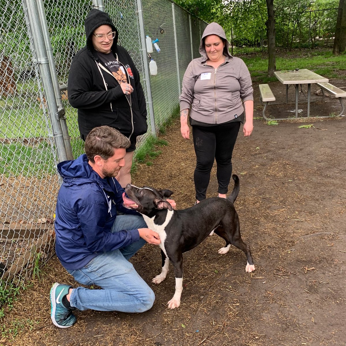 Safe Humane Chicago tweet media