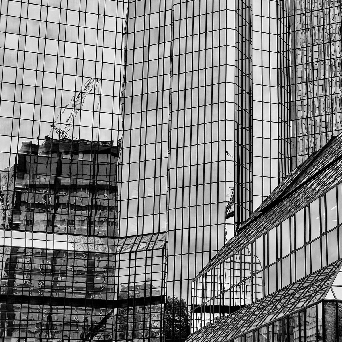 Adrian Fernandez tweet media