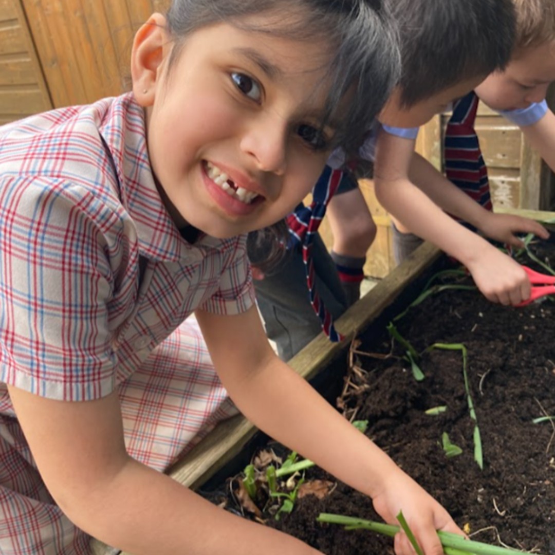 YarmSchool's tweet photo. Pre-Prep have been inspired by their book, โLila and the Secret of the Rainโ, to plant crops in their garden.
Well done Pre-Prep, we are looking forward to picking some radishes before the end of the term!
#growingcrops #gettinginvolved #itstartshere https://t.co/UqRQlb4E5K