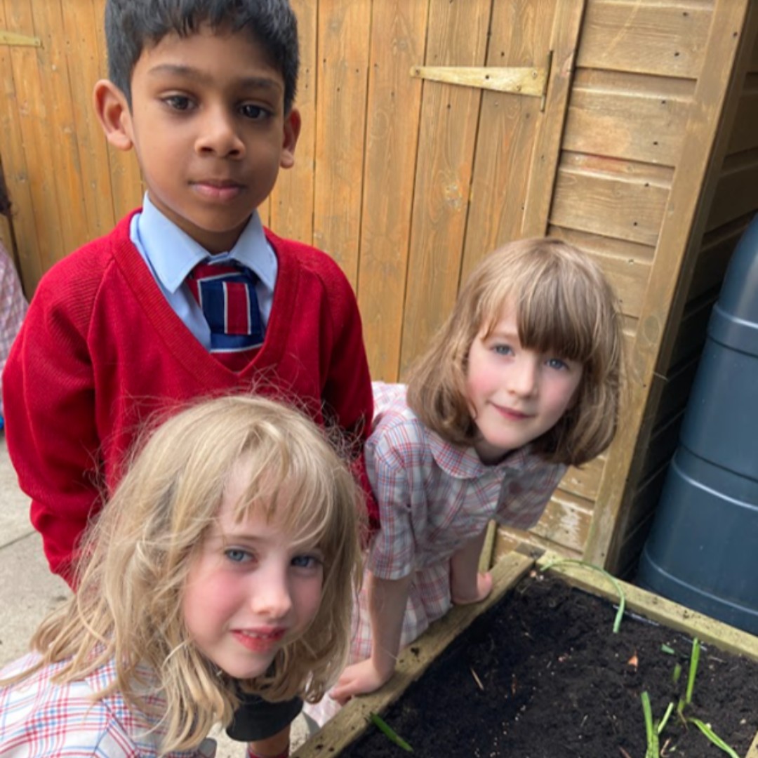 YarmSchool's tweet photo. Pre-Prep have been inspired by their book, โLila and the Secret of the Rainโ, to plant crops in their garden.
Well done Pre-Prep, we are looking forward to picking some radishes before the end of the term!
#growingcrops #gettinginvolved #itstartshere https://t.co/UqRQlb4E5K