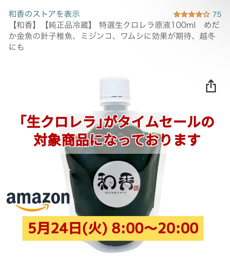 和香特選生クロレラ原液50ml めだか金魚稚魚ミジンコPSBB 和香特選生クロレラ原液50ml めだか金魚稚魚ミジンコPSBB