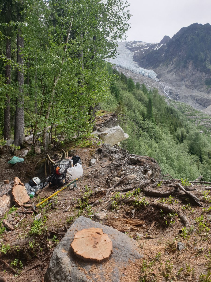 subfossilguy's tweet photo. Finally managed to recover this log located 2 meters below the crest at #Bossons glacier. Though extensive bark patches are present, will be challenging to date it (only ~40 rings). Surprise, it also shows signs of previous cutting... 😱🫢❓
#secondcutter #Chamonix https://t.co/gBfF1fELCO