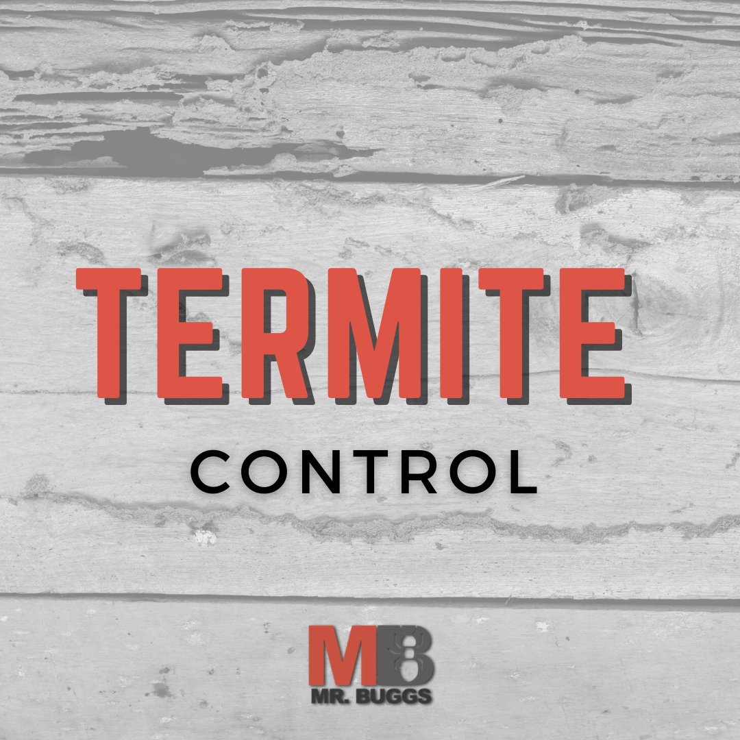 MrBuggs1's tweet photo. We stay up-to-date on all the latest methods and chemicals available so that you have several options to choose from when deciding which method of termite control is best for you.

https://t.co/TfioOQkxX4

#MrBuggs #termitecontrol #termites https://t.co/KiZHs5Owx5