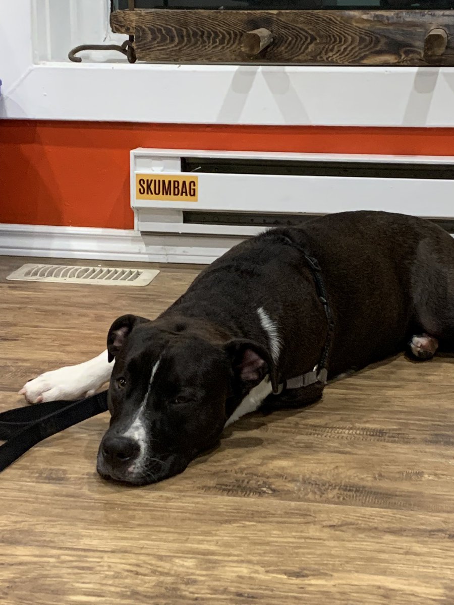 ericXart tweet media