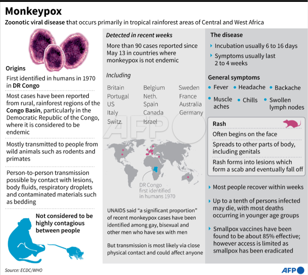 AFP's tweet photo. #UPDATE The outbreaks of #monkeypox in non-endemic countries are 'containable' and human-to-human transmission of the virus can be stopped, the World Health Organization's emerging diseases lead said on Monday https://t.co/qjvJ64pVyt https://t.co/Z2rHAGO5cQ
