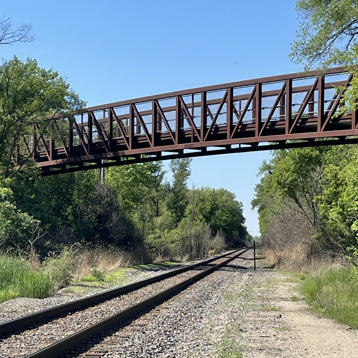 rwagnerful's tweet photo. #IllinoisPrairiePath • Wayne, IL • It wasn’t too inherently long ago this pedestrian bridge was not here and you had to carry (ride if you’re cray) your bike down a steep hill, carry it over these tracks, climb another hill.
• Gonna guess this was installed mid-2000s https://t.co/Gk5zeZCjsD