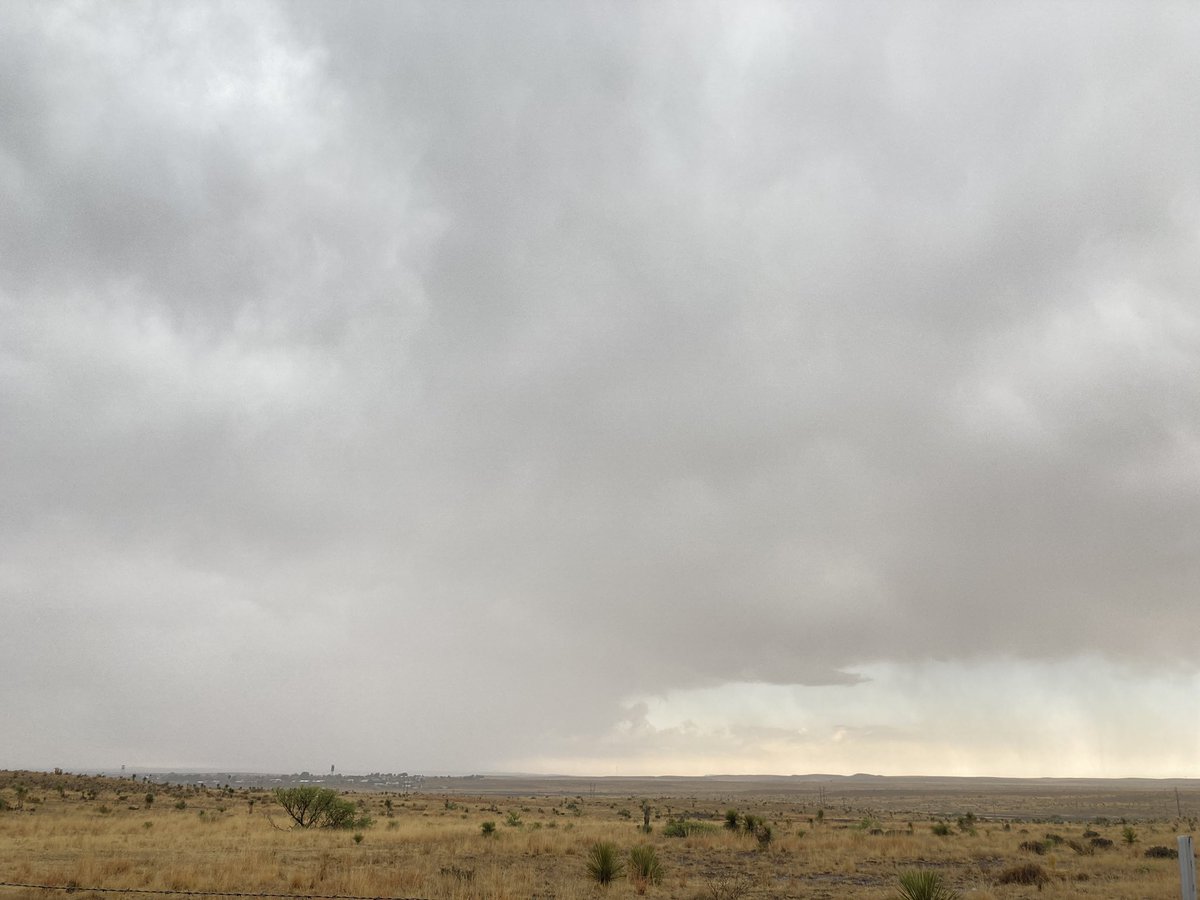 travisbubenik's tweet photo. Been steady raining here in Marfa for at least an hour - finally!! @NWSMidland https://t.co/LfH0DanRcV