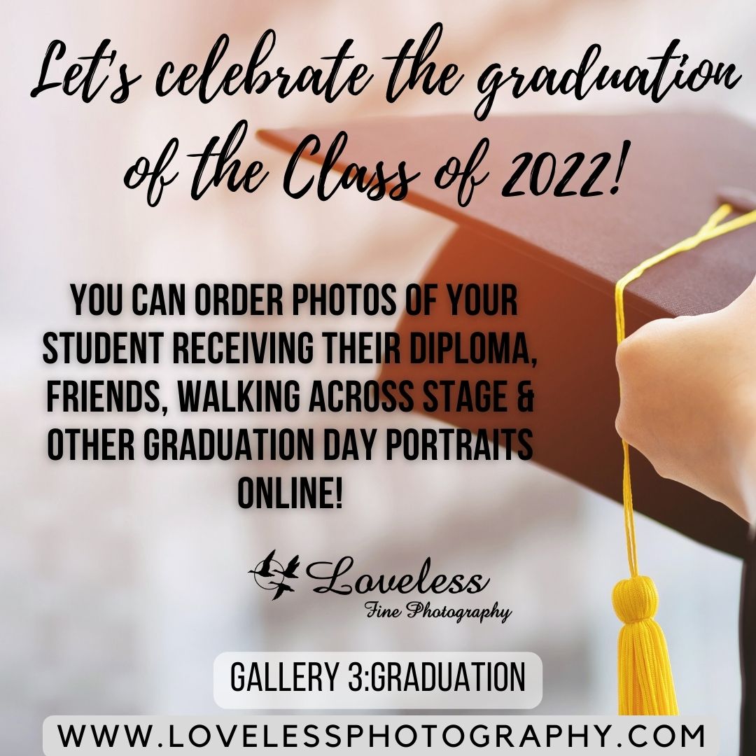 Loveless Photography (@lovelessphoto) on Twitter photo 