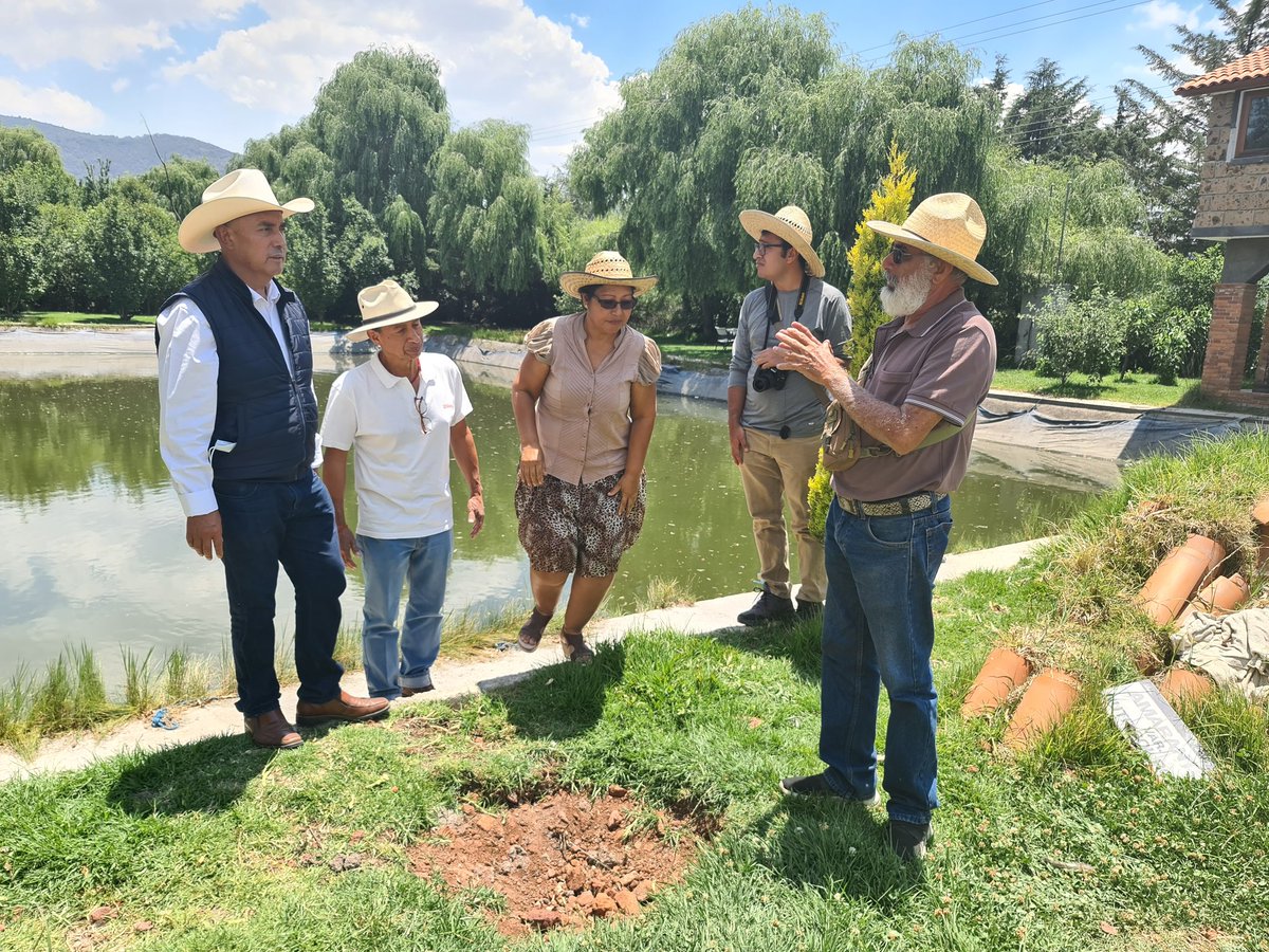 ConEsequiel's tweet photo. Uniendo esfuerzos y fortaleciendo alianzas,Transferimos técnicas y experiencias productivas de décadas de trabajo en la @tierradondedeseovivir recibimos a nuestros amigos de Tabasco, quienes ponen en marcha las primeras cooperativas, que son la base de desarrollo de México. https://t.co/QtdbbW0OWU