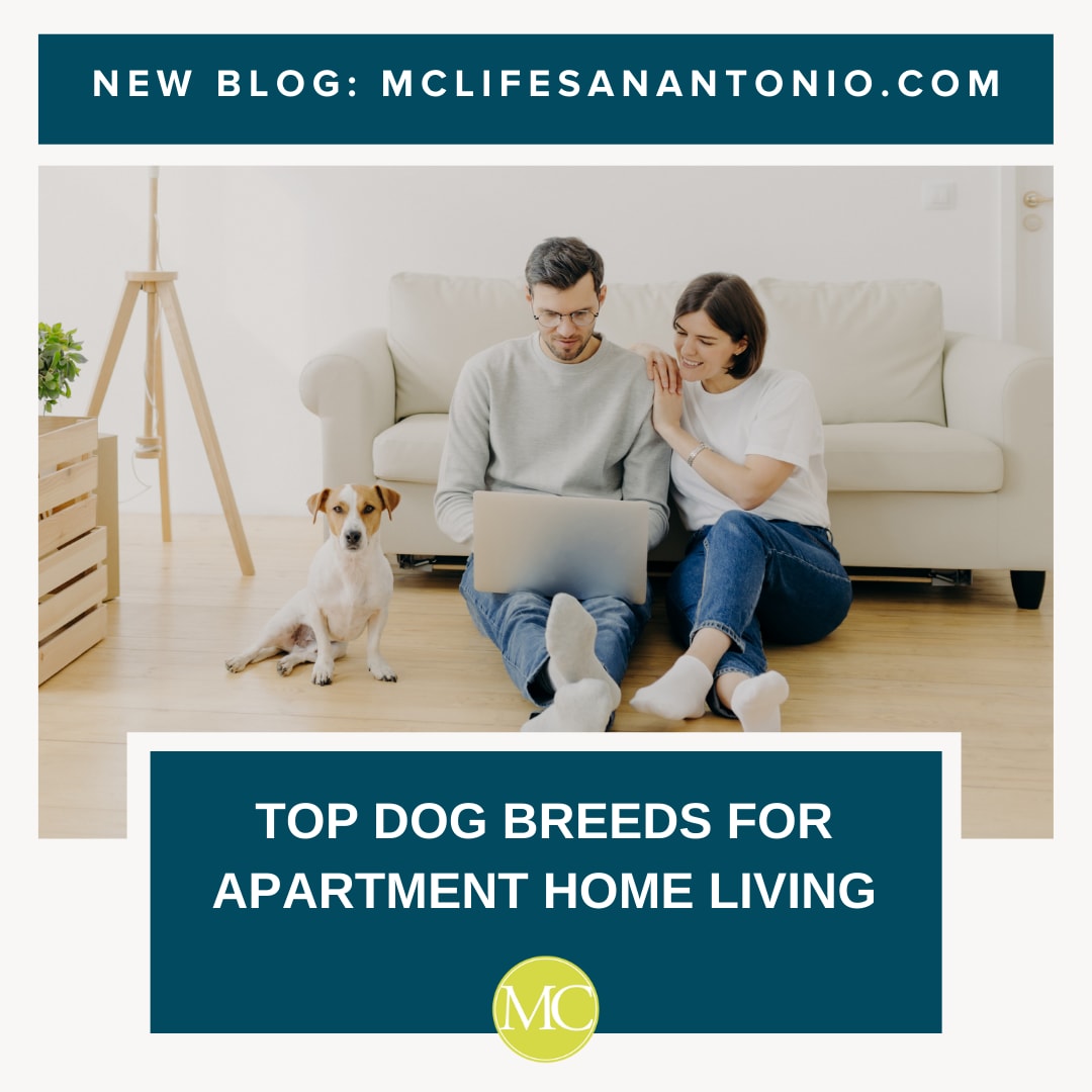 MC Residential tweet media