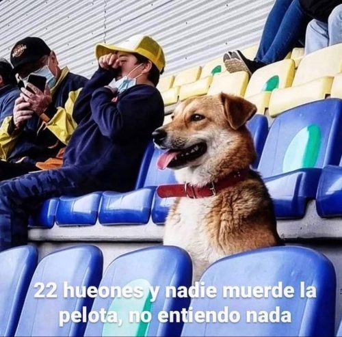 Felipe T.E.A 🦖🦕👻🚫🖤🤍💪 tweet media