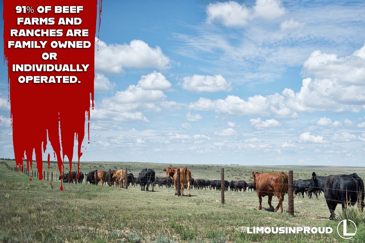 #NationalBeefMonth #limousinproud