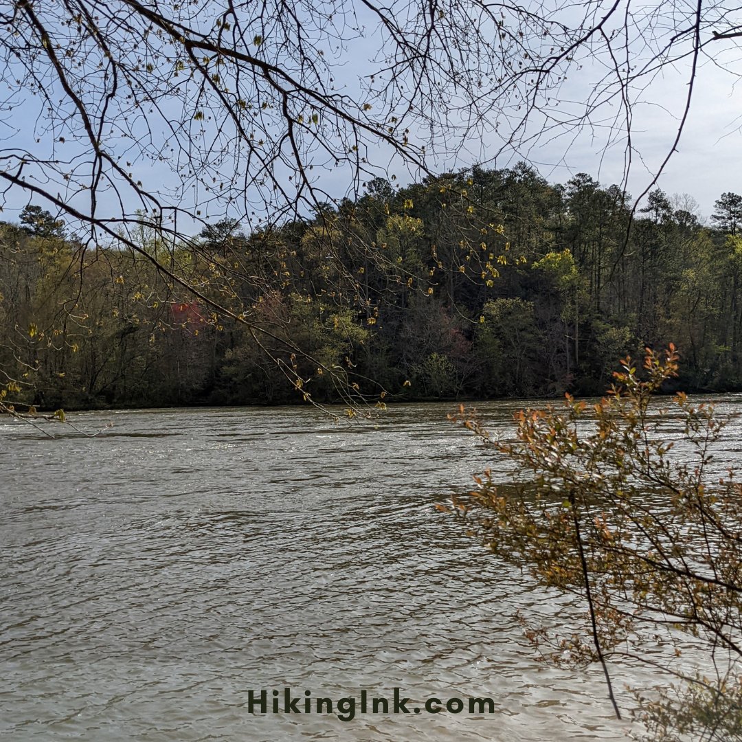 ClintHikingInk's tweet photo. Chattahochee River National Recreation Area_ Atlanta, Ga
#mountains #hikingadventure #hikingtrails #nature #savetheplane https://t.co/G1mu4aRvgQ