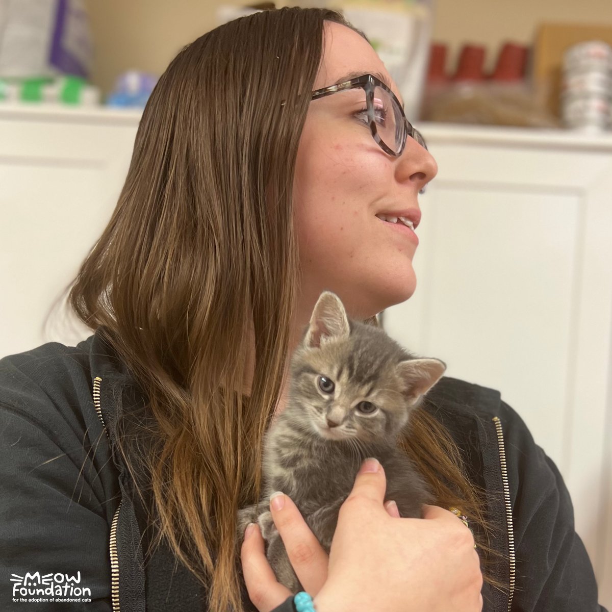 MEOWFoundation's tweet photo. While the rest of the office takes the day off, our intake team is here giving care, love and attention to the cats who need it most. Simply put: MEOW couldn't run without them ❤️
#animalrescue #catsofyyc #victoriaday #meowfoundation https://t.co/beczZZ6Sqj