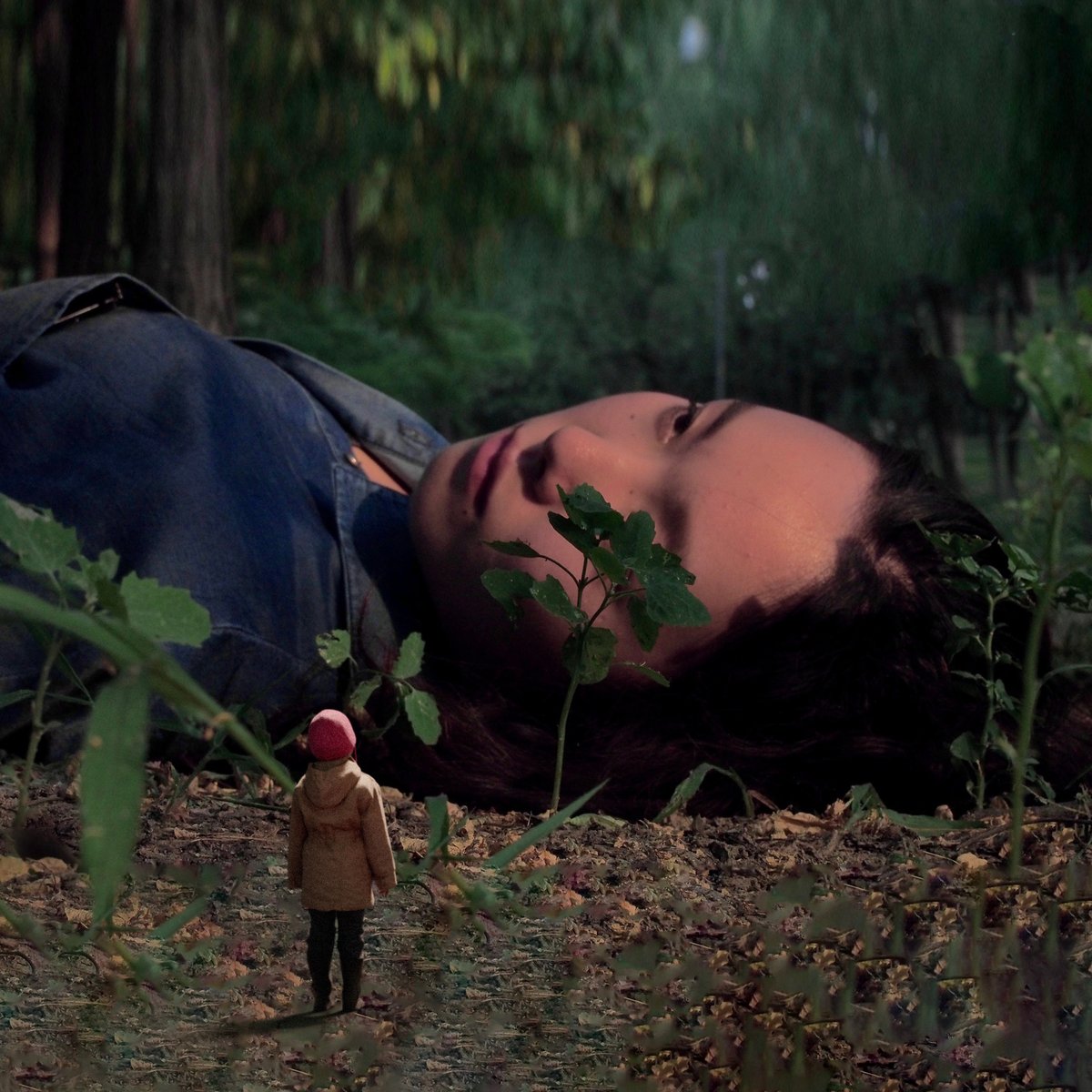 MetaOpus🛸 tweet media