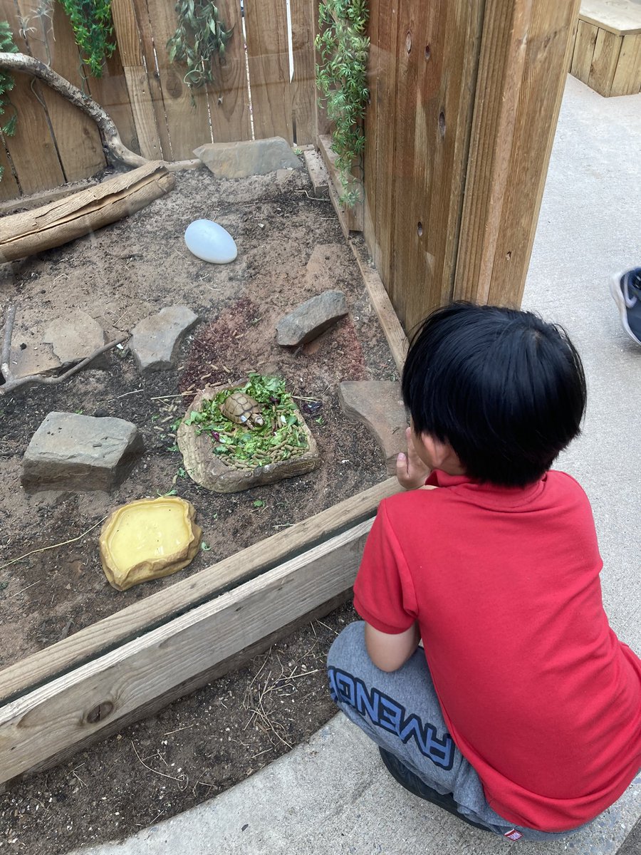 Hendrefoilan's tweet photo. Year 2 Sharks thoroughly enjoyed learning about plants and animals @Plantasia6 today. #hdfp2 https://t.co/blKEjCg18u