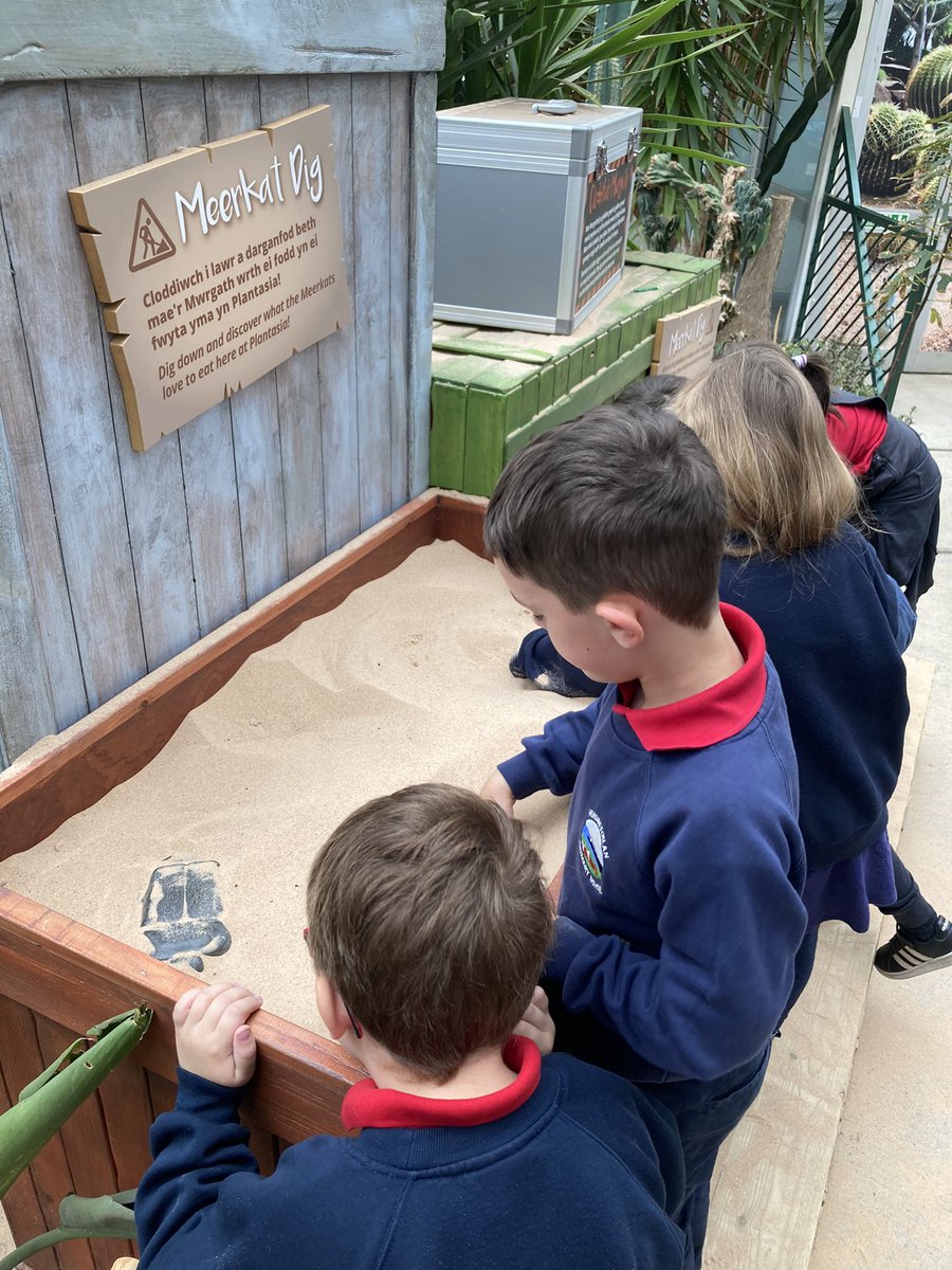 Hendrefoilan's tweet photo. Year 2 Sharks thoroughly enjoyed learning about plants and animals @Plantasia6 today. #hdfp2 https://t.co/blKEjCg18u