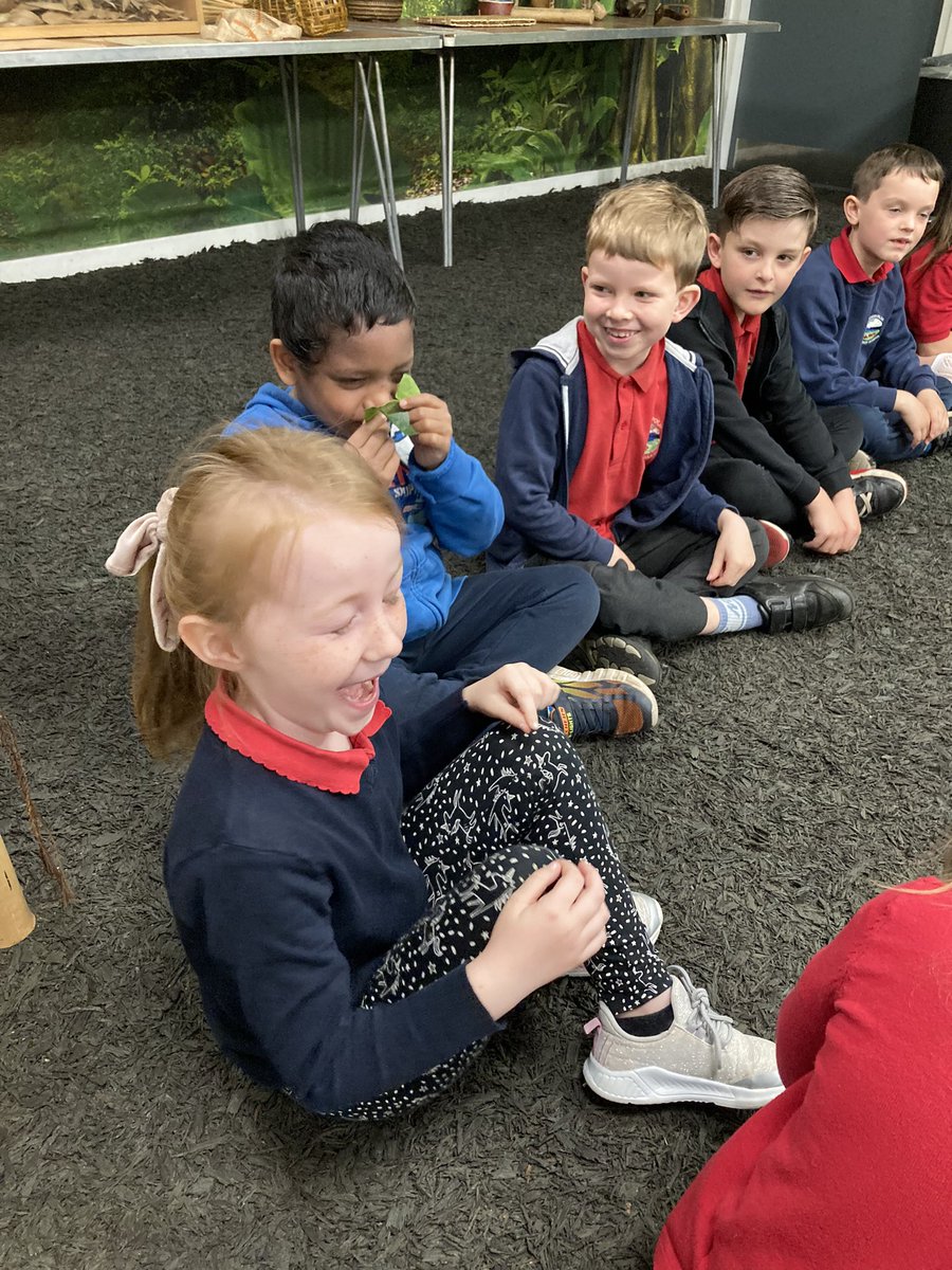 Hendrefoilan's tweet photo. Year 2 Sharks thoroughly enjoyed learning about plants and animals @Plantasia6 today. #hdfp2 https://t.co/avyj4MWHcu