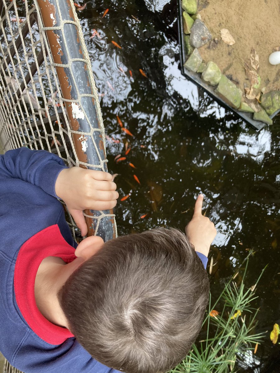 Hendrefoilan's tweet photo. Year 2 Sharks thoroughly enjoyed learning about plants and animals @Plantasia6 today. #hdfp2 https://t.co/avyj4MWHcu