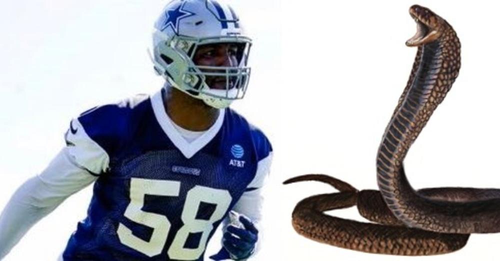 fishsports ✭ tweet media
