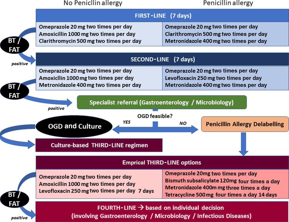 drkeithsiau's tweet photo. H pylori eradication regimens 💊

(Via @gastrolivuni in @FrontGastro_BMJ)
https://t.co/FR3CuYZ6Gy https://t.co/YSOgVZ1bnt